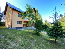 Casa Ionel si Dani - accommodation in  Rucar - Bran, Moeciu (01)