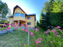 Casa Ionel si Dani - alloggio in  Rucar - Bran, Moeciu (03)