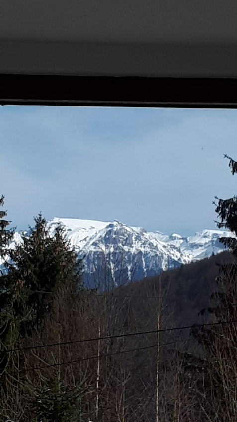 Casa Ionel si Dani - cazare Rucar - Bran, Moeciu (Activitati si imprejurimi)