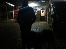 Pensiunea Ciprian - cazare Apuseni, Belis (10)