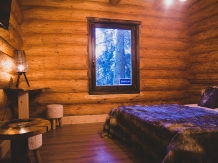 Chalet HM - alloggio in  Vallata di Brasov (37)