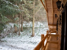 Chalet HM - alloggio in  Vallata di Brasov (92)