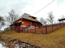Pensiunea Irina Albac - accommodation in  Apuseni Mountains, Motilor Country, Arieseni (07)