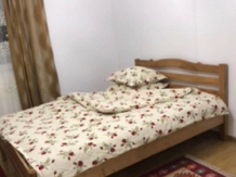 Pensiunea Irina Albac - accommodation in  Apuseni Mountains, Motilor Country, Arieseni (19)