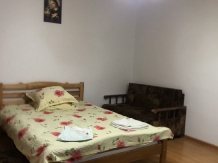 Pensiunea Irina Albac - accommodation in  Apuseni Mountains, Motilor Country, Arieseni (22)
