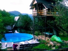 Pensiunea Leul Verde - accommodation in  Muntenia (03)