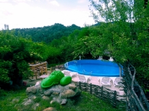 Pensiunea Leul Verde - accommodation in  Muntenia (04)