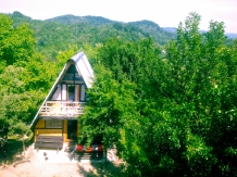 Pensiunea Leul Verde - accommodation in  Muntenia (05)