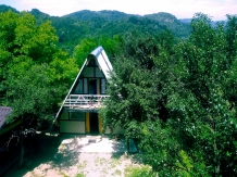 Pensiunea Leul Verde - accommodation in  Muntenia (07)