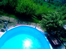 Pensiunea Leul Verde - cazare Muntenia (09)