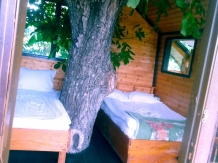 Pensiunea Leul Verde - accommodation in  Muntenia (11)