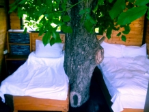Pensiunea Leul Verde - accommodation in  Muntenia (25)