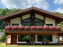 Cabana Avalanche - accommodation in  Rucar - Bran, Piatra Craiului, Rasnov (01)