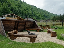 Cabana Avalanche - accommodation in  Rucar - Bran, Piatra Craiului, Rasnov (21)