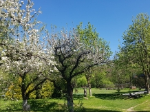 Vila Parcul Manga - alloggio in  Muntenia (06)