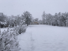 Casa Badea - cazare Transilvania (08)