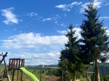 Pensiunea Roua Apuseni Belis - accommodation in  Apuseni Mountains, Belis (15)