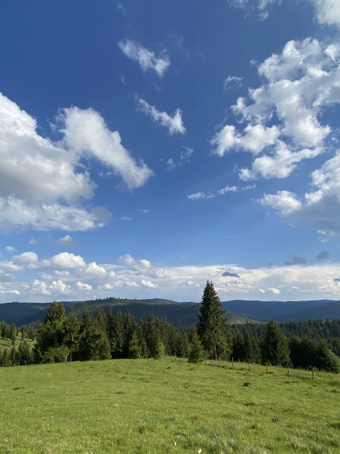 Pensiunea Roua Apuseni Belis - accommodation in  Apuseni Mountains, Belis (Surrounding)