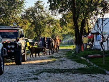 Casa Bunicilor din Leresti - alloggio in  Tara Muscelului (07)