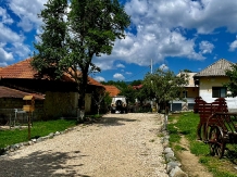 Casa Bunicilor din Leresti - alloggio in  Tara Muscelului (43)