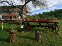 Pensiunea Plai Strabun - alloggio in  Tara Maramuresului (02)