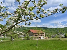 Pensiunea Plai Strabun - accommodation in  Maramures Country (07)