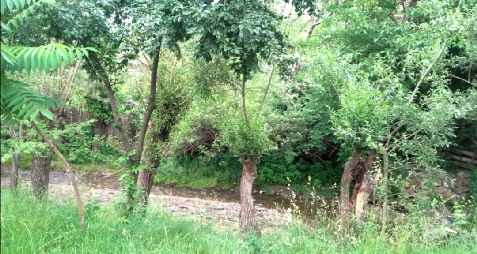 Casa de vacanta in Orlat - cazare Marginimea Sibiului (Activitati si imprejurimi) Casa de vacanta in Orlat - cazare Marginimea Sibiului (Activitati si imprejurimi)