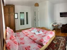 Pensiunea Grapini - alloggio in  Bistrita (06)