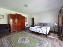 Pensiunea Casa Andreea - accommodation in  Crisana (09)