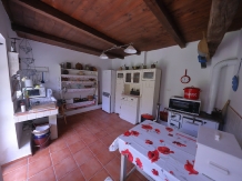 Pensiunea Casa Andreea - accommodation in  Crisana (16)