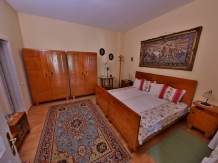 Pensiunea Casa Andreea - accommodation in  Crisana (18)