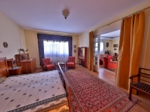 Pensiunea Casa Andreea - accommodation in  Crisana (25)