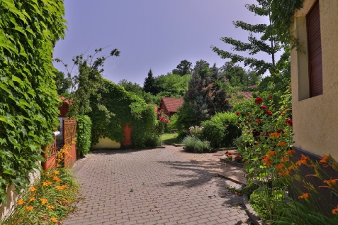 Pensiunea Casa Andreea - accommodation in Crisana (Surrounding) Pensiunea Casa Andreea - accommodation in Crisana (Surrounding)