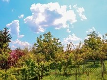 Casa Ili - cazare Valea Prahovei (02)