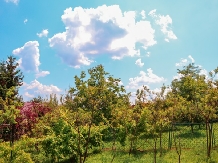 Casa Ili - alloggio in  Valle di Prahova (02)