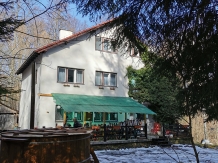 Cabana CovAlpin - accommodation in  Harghita Covasna, Brasov Depression (03)