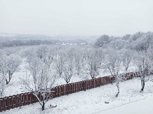 Pensiunea Emelys - alloggio in  Moldova (02)