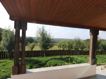 Pensiunea Emelys - accommodation in  Moldova (51)
