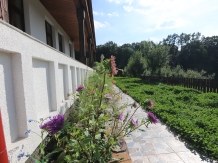 Pensiunea Emelys - accommodation in  Moldova (55)