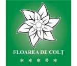 Pensiunea Floare De Colt - accommodation in  Fagaras and nearby, Muscelului Country (03)