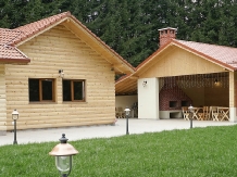 Pensiunea Floare De Colt - accommodation in  Fagaras and nearby, Muscelului Country (05)