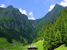 Pensiunea Floare De Colt - alloggio in  Fagaras e vicinanze, Tara Muscelului (10)