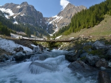 Pensiunea Floare De Colt - alloggio in  Fagaras e vicinanze, Tara Muscelului (11)