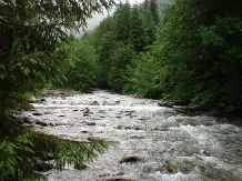 Pensiunea Floare De Colt - cazare Fagaras, Tara Muscelului (16)