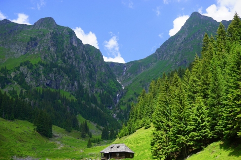 Pensiunea Floare De Colt - alloggio in  Fagaras e vicinanze, Tara Muscelului (Attivit&agrave; e i dintorni)