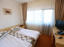 Pensiunea Diana - accommodation in  Muntenia (14)
