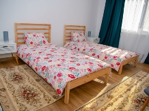 Family House Pristol - accommodation in  Oltenia (07)