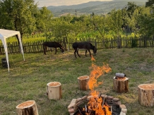 Ascunzatoarea Haiducului - alloggio in  Nord Oltenia (12)