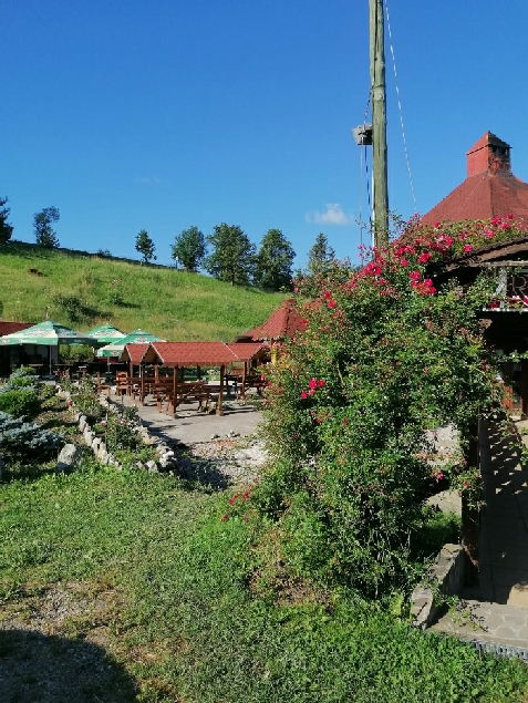 Steaua Nordului - accommodation in  Vatra Dornei, Bucovina (Surrounding)