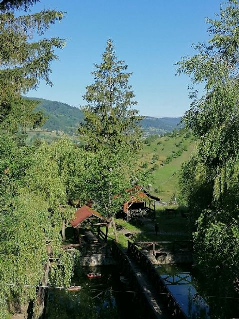 Steaua Nordului - accommodation in  Vatra Dornei, Bucovina (Surrounding)
